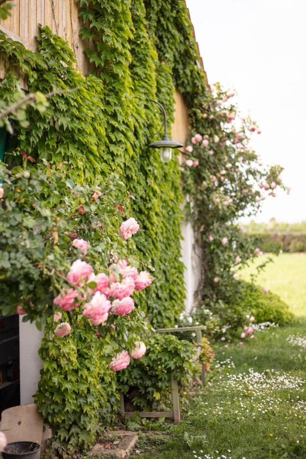 La Casa Vecchia B&B Camisano Vicentino Exterior photo
